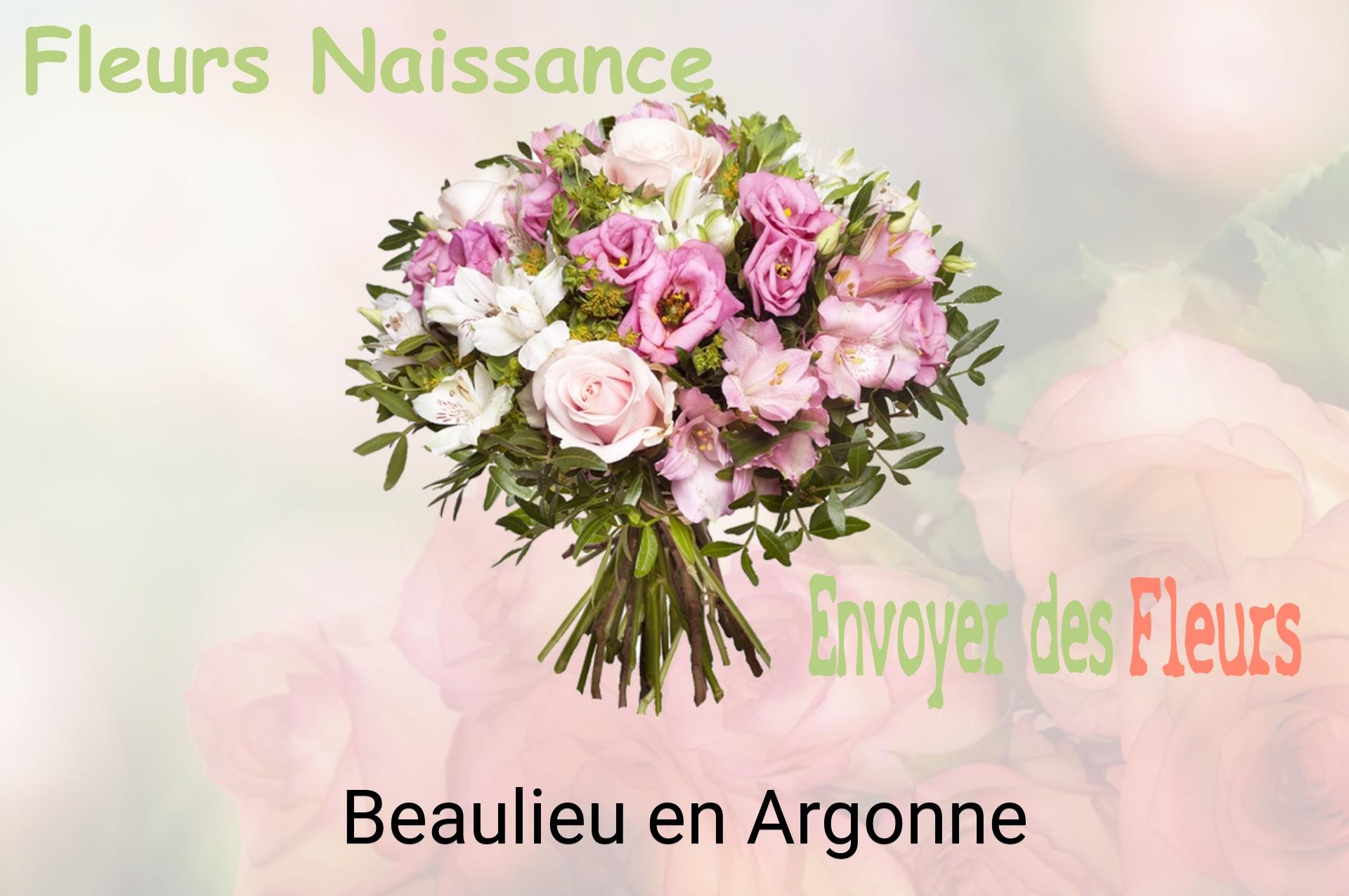 Bouquet de fleurs de naissance livré à Beaulieu-en-Argonne