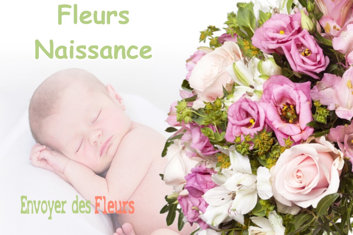 lIVRAISON FLEURS NAISSANCE à BEAULIEU-EN-ARGONNE